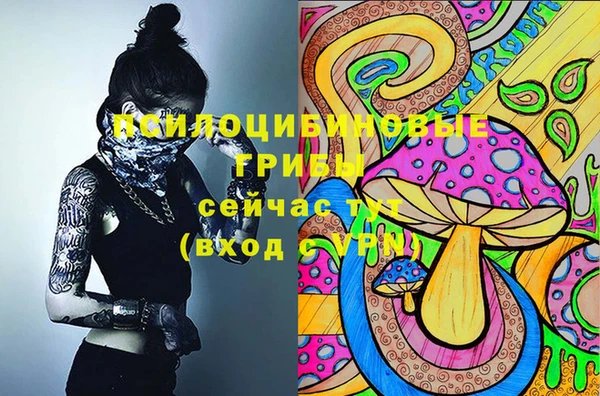 каннабис Аркадак