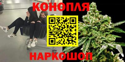 наркотики Заводоуковск