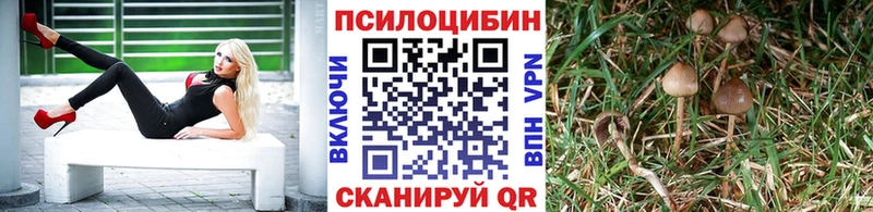 Галлюциногенные грибы прущие грибы  Новый Уренгой 