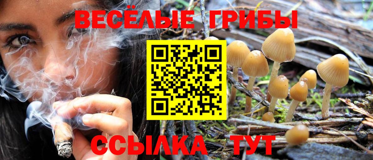 Галлюциногенные грибы Psilocybine cubensis  Псилоцибиновые грибы Psilocybe  Новый Уренгой  где найти   Вход с VPN 